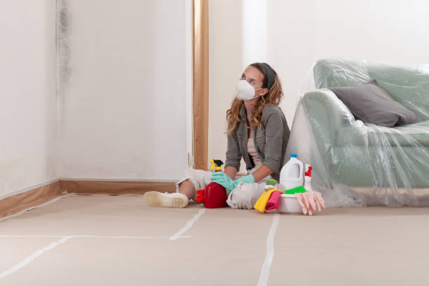 Reliable Mold Testing contractor in New Hill, NC by WQB Mold Removal